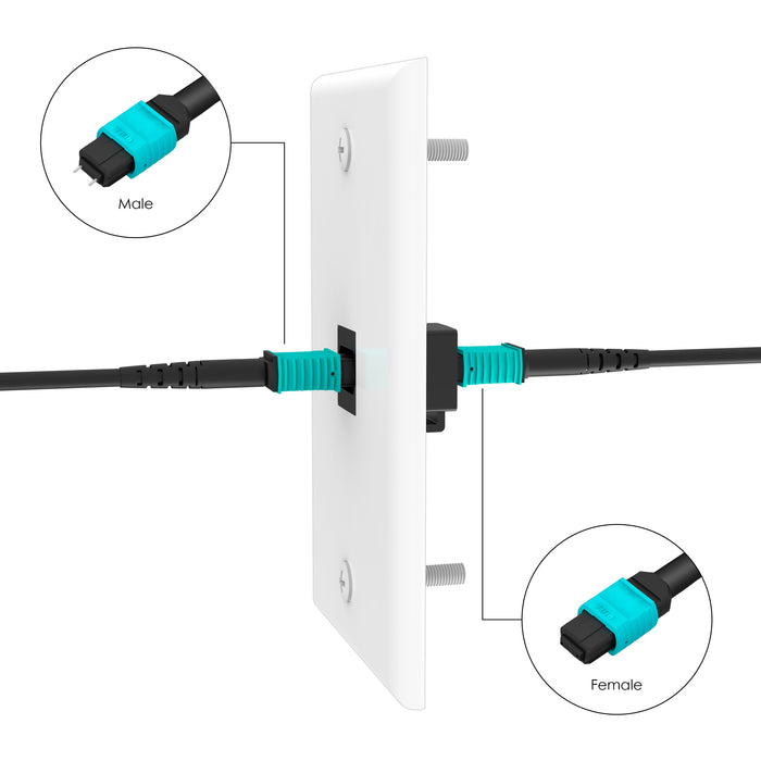 RUIPRO Keystone Wall Plate with MPO Coupler